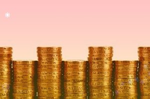 金禾实业：2021年度财务决算报告