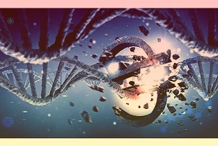 A卡N卡一样用：首款支持IntelXeSS技术的游戏正式上线补丁