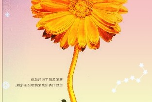 AMDEPYC9654登顶PassMark跑分榜：96核192线程，领先